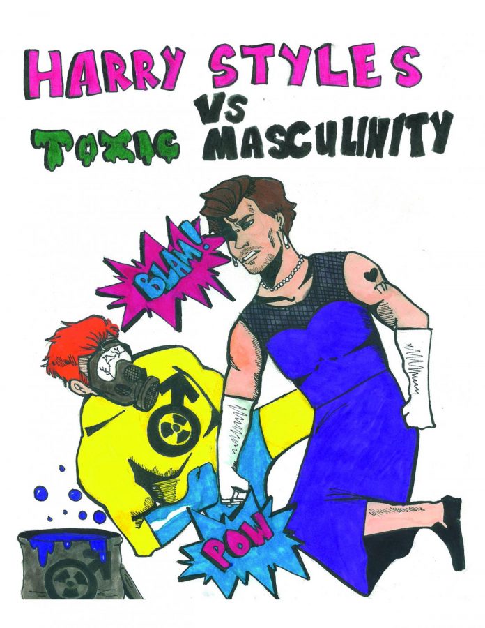 Harry Styles Challenges Gender Norms